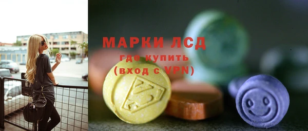 прущий лед Алзамай