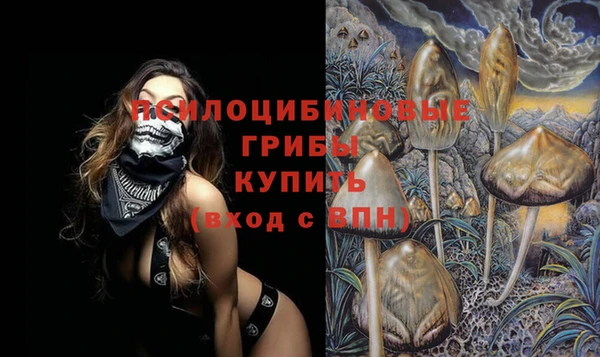прущий лед Алзамай