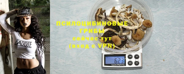 прущий лед Алзамай