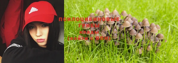 прущий лед Алзамай